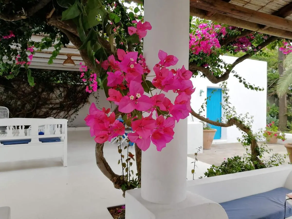 Casa Carlotta Bed & Breakfast Stromboli